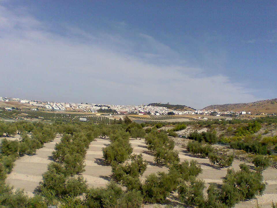 Estepa