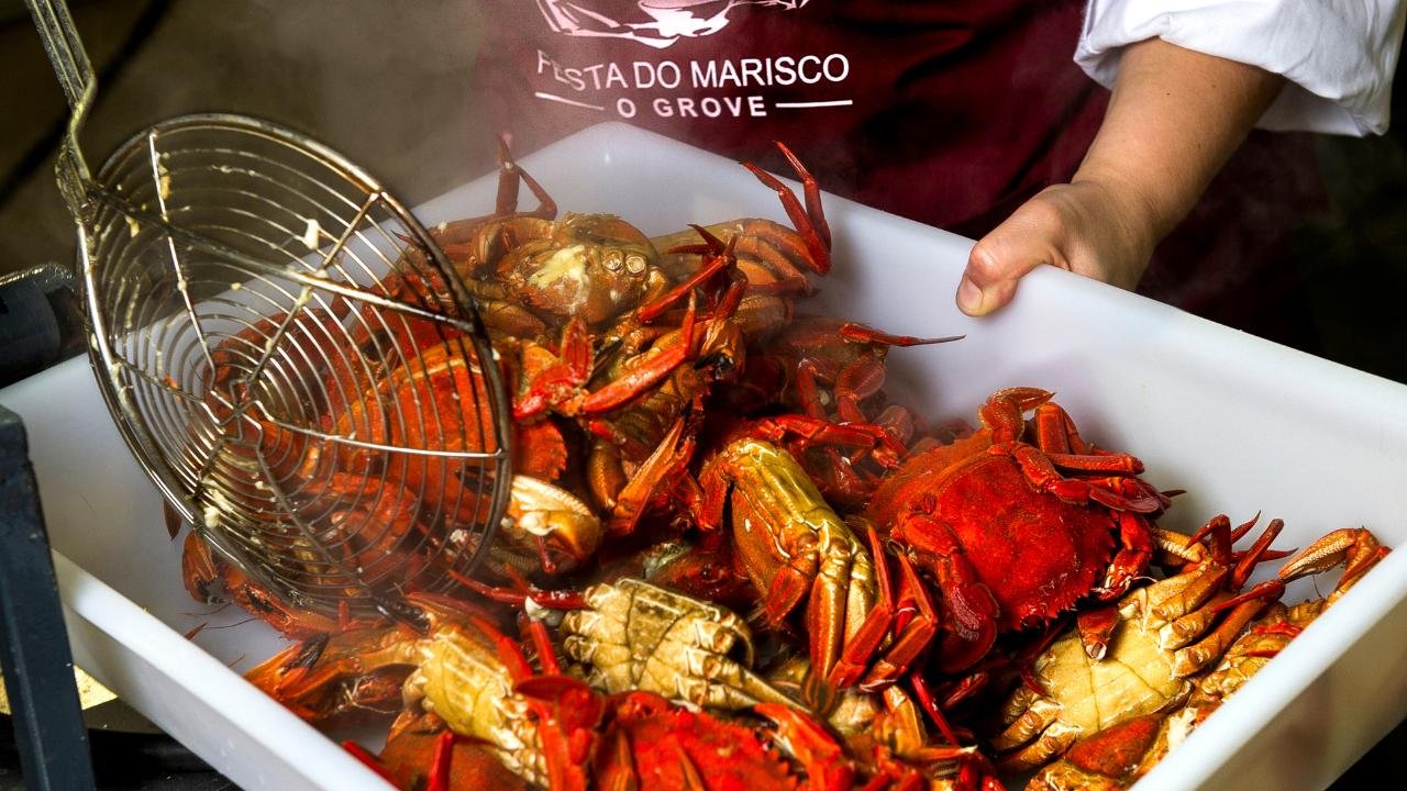 O Grove Fiesta del Marisco