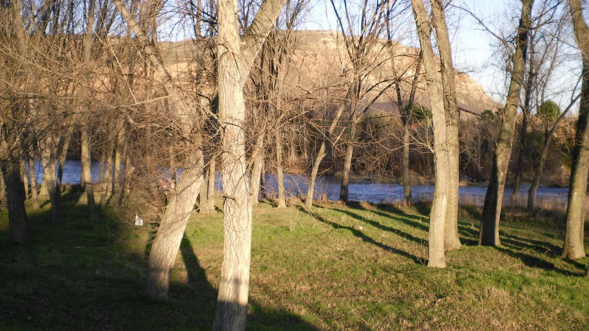 Ribera norte del río Ebro en Logroño, paisaje de La Rioja